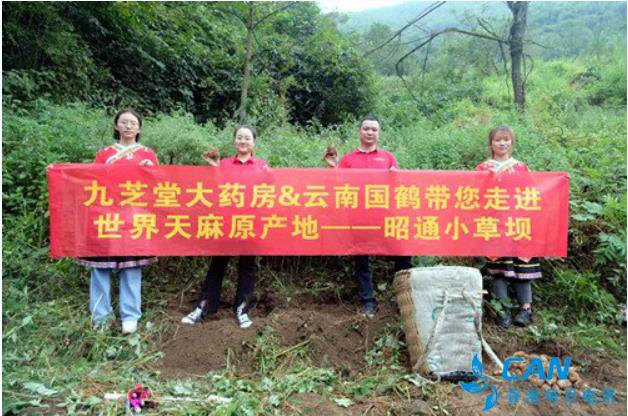 文化+产品，冰球突破880爆分视频连锁开展直播营销战略合作